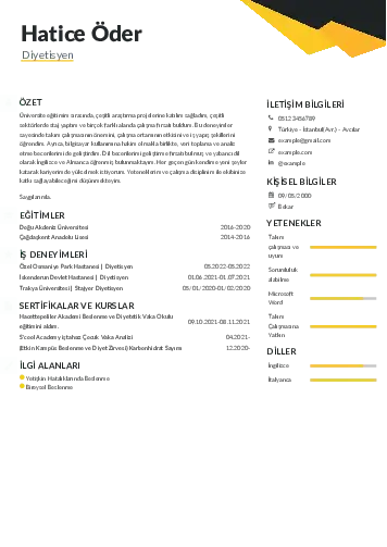 Beslenme Uzmanı Diyetisyen CV Örnekleri cv indir